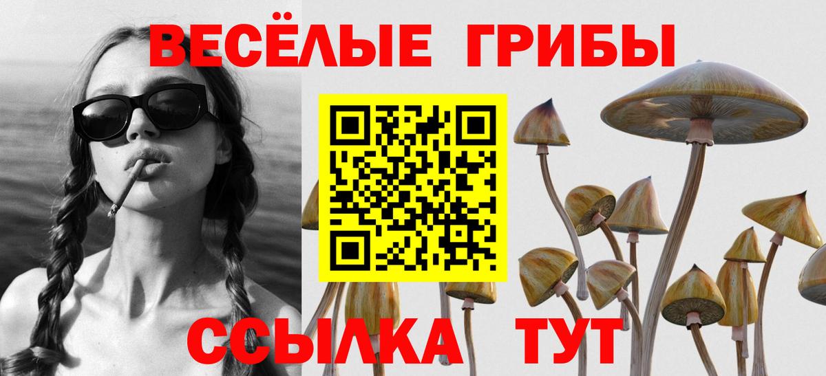 Углич  Галлюциногенные грибы мухоморы  Вход с VPN 